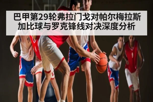 巴甲第29轮弗拉门戈对帕尔梅拉斯 加比球与罗克锋线对决深度分析（NG28）